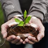 Plant Protection Solutions