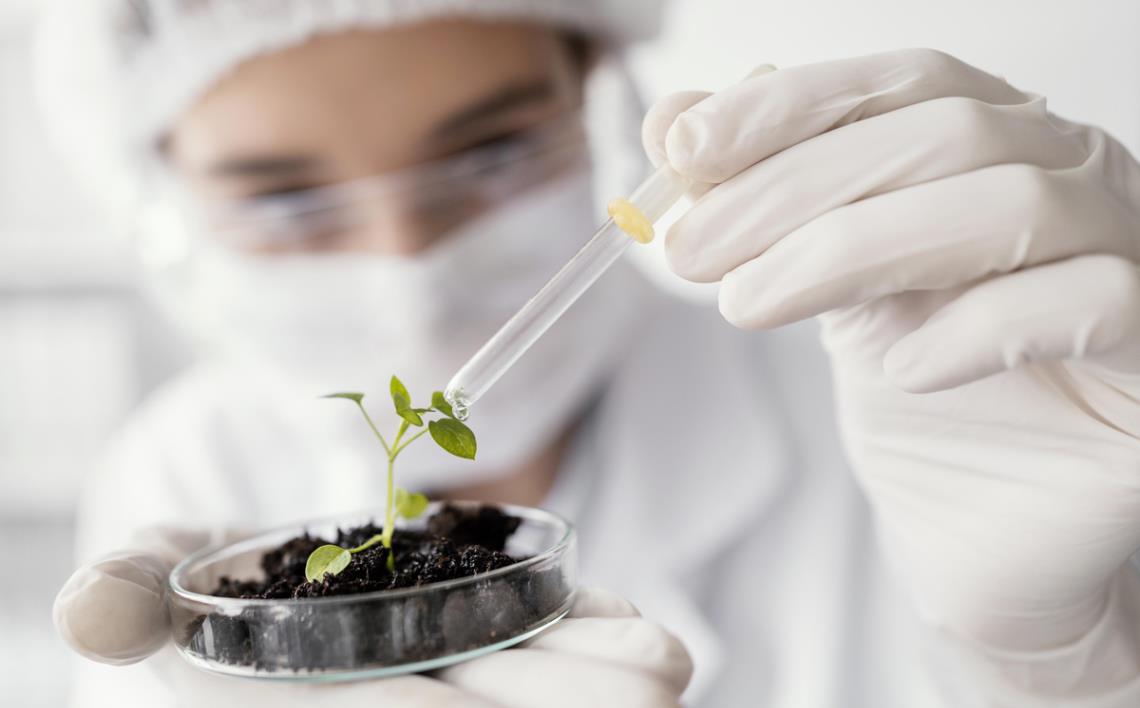 Plant Nutrition Solutions