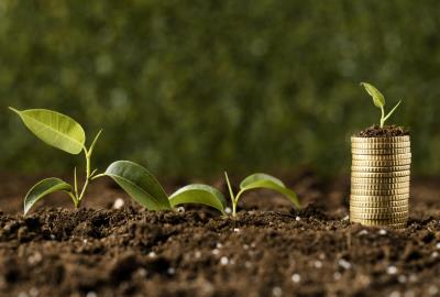 Investments Opportunities