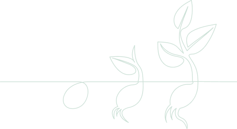 News and Events