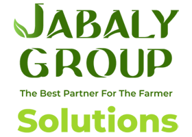 Subsidiary
